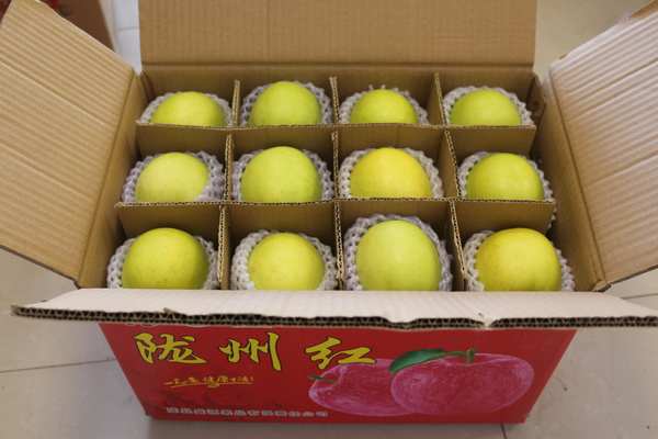 ��ѩ-8����