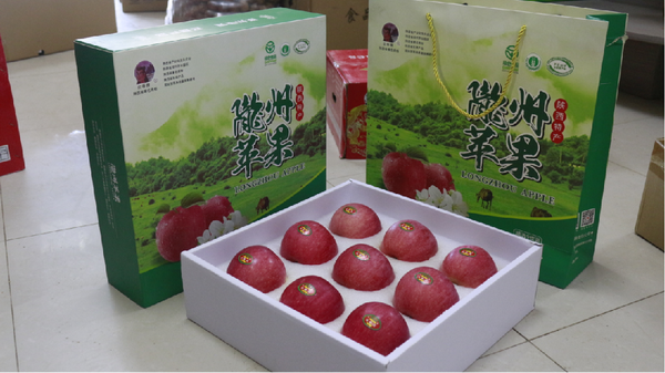 ����-9ö���