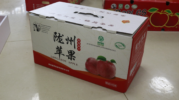 ��ѩ-16ö���