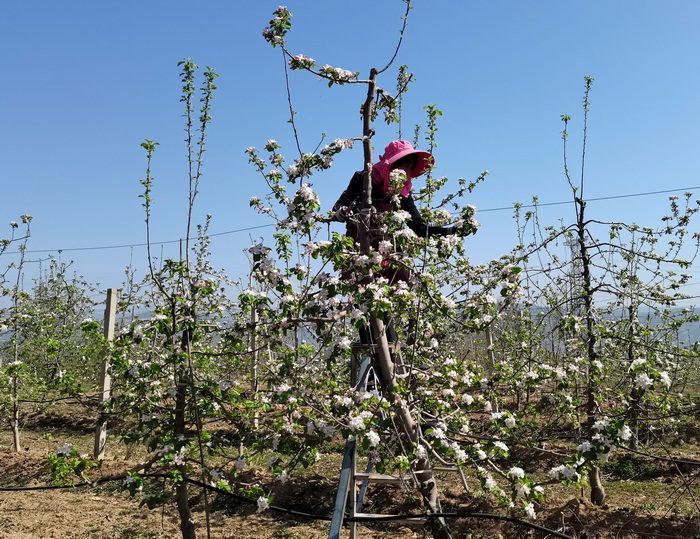 ������Ӱ