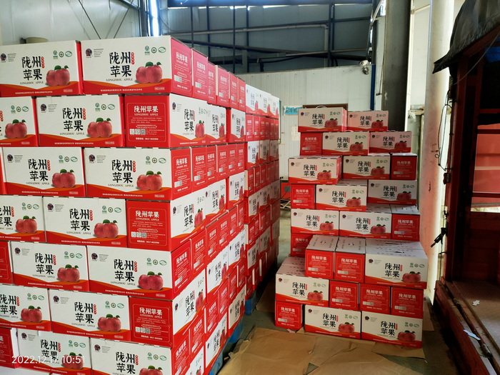 ������Ӱ