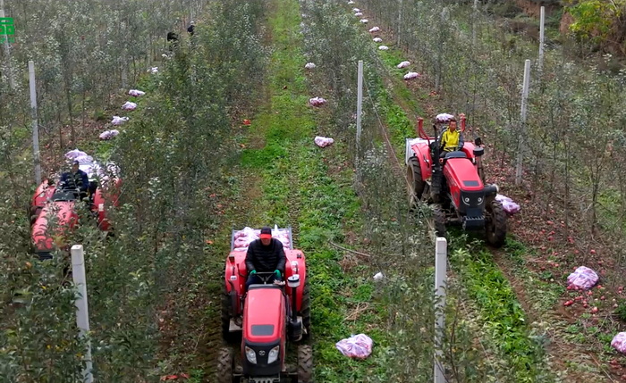 ������Ӱ