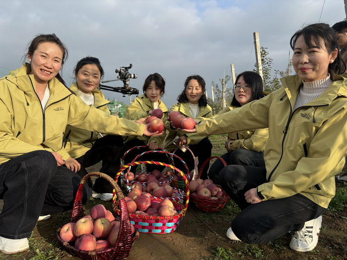 ������Ӱ