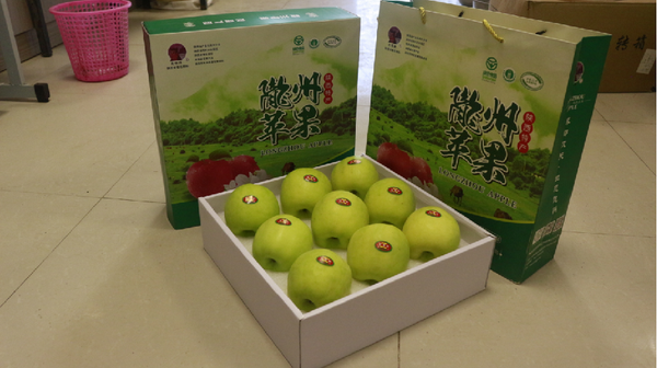 ��ѩ-9ö���