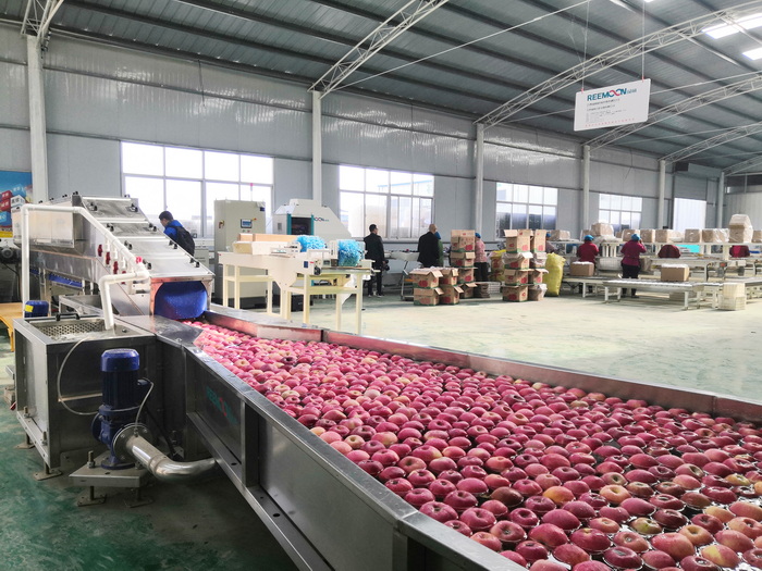 ������Ӱ