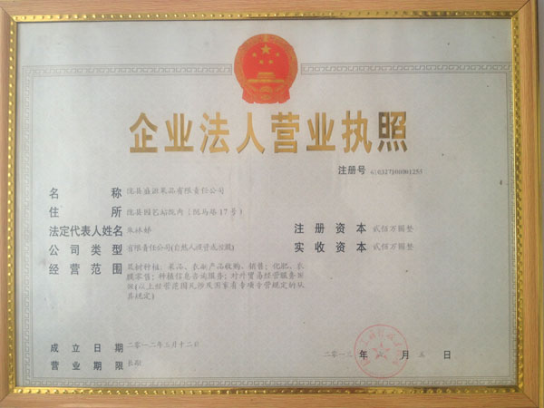 Business license